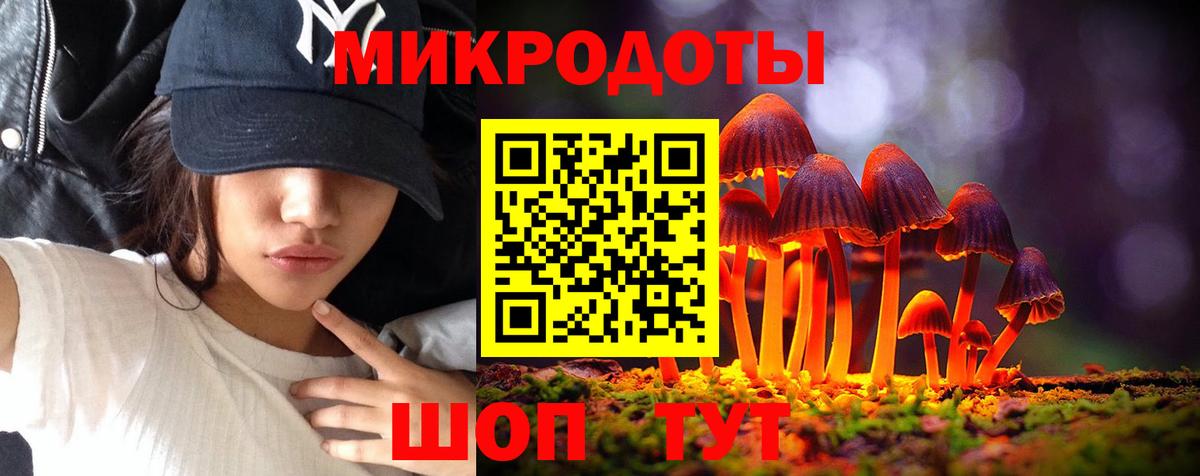 Балашов  где продают наркотики  Вход с VPN  Псилоцибиновые грибы GOLDEN TEACHER  Галлюциногенные грибы GOLDEN TEACHER 
